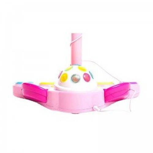 میکروفن پایه دار winfun 002044