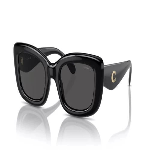 عینک آفتابی کوچ Coach HC8390U - Image 2