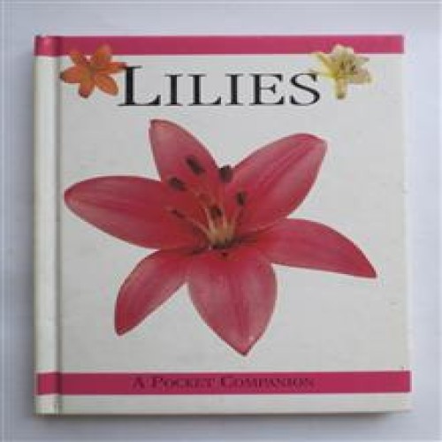 Lilies