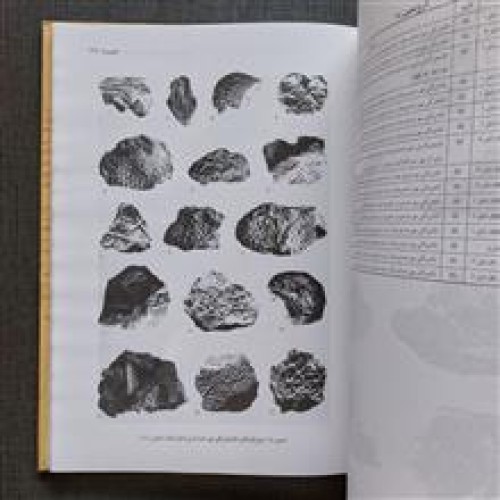 منشاءنهادهای