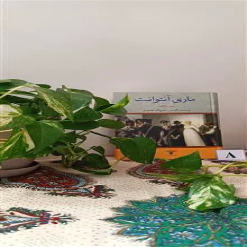 ماری