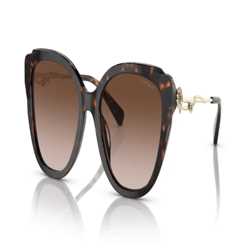 عینک آفتابی کوچ Coach HC8347B - Image 2