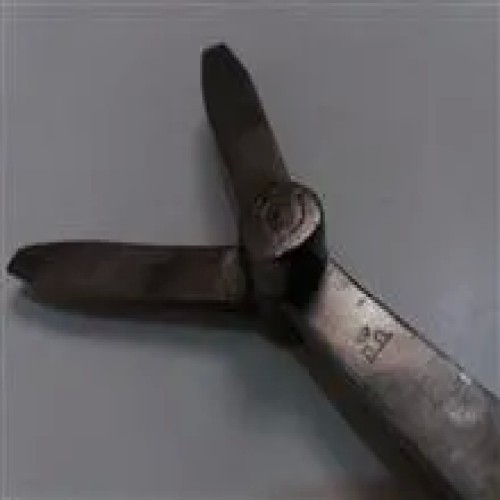 سرپیچگوشتی