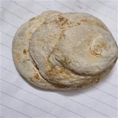 7عدد