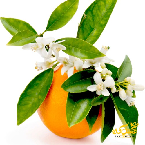 عسل بهارنارنج صاف شده ارگانیک