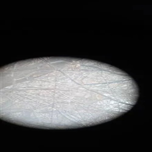 دوربین