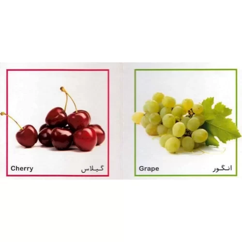 کتاب آموزشی میوه