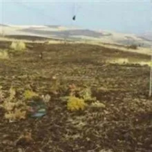 تور