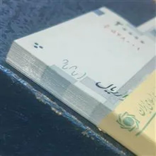 خرید صفدر حسینی شیبانی 2 هزاری نقش جهان بسته وردسا