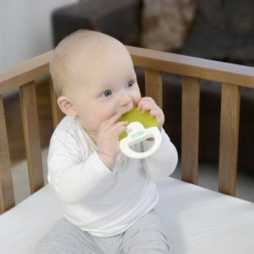 دندانگیر قارچ kidsme کد 9311
