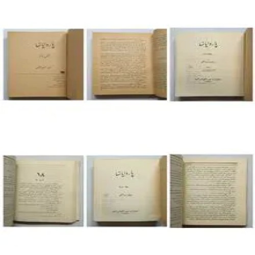 فروش پاردایانها (ده جلدی) میشل زواگو مهتدی