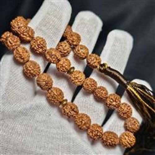 خرید تسبیح 33 دانه رودراکشا کد وردسا