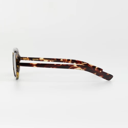 عینک آفتابی کلؤس KALEOS SALANDER - Image 7
