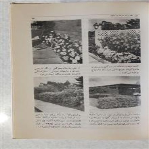 فروش کاشت و پرورش رز چاپ1346(همکاری انتشارات فرانکلین)