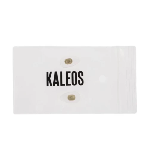 عینک آفتابی کلؤس KALEOS BORDENS - Image 5