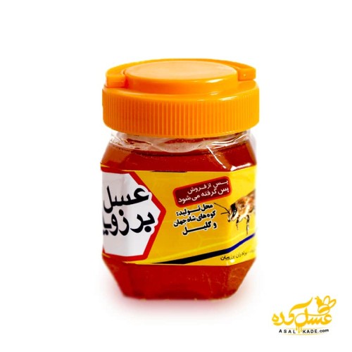 عسل گشنیز خام ارگانیک