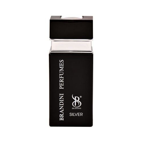 عطر ادکلن سیلور مردانه Silver