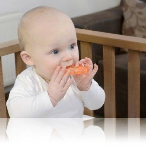 دندانگیر ماهی نارنجی kidsme کد 9020