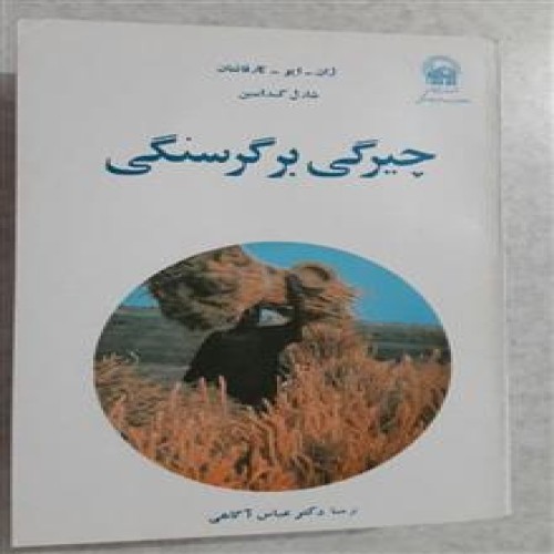 چیرگی