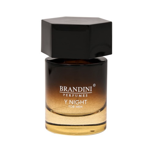 عطر ادکلن وای نایت مردانه Y night men