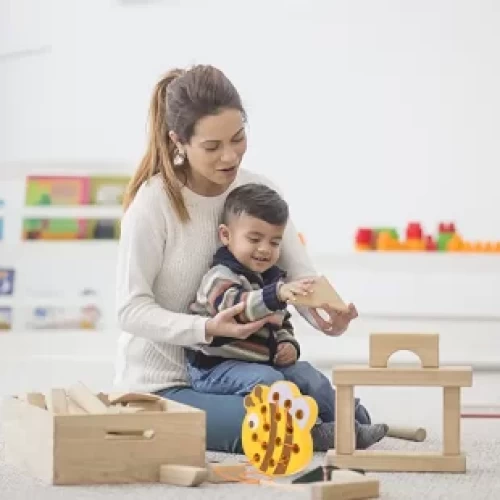 اسباب بازی دوخت چوبی طرح زنبور