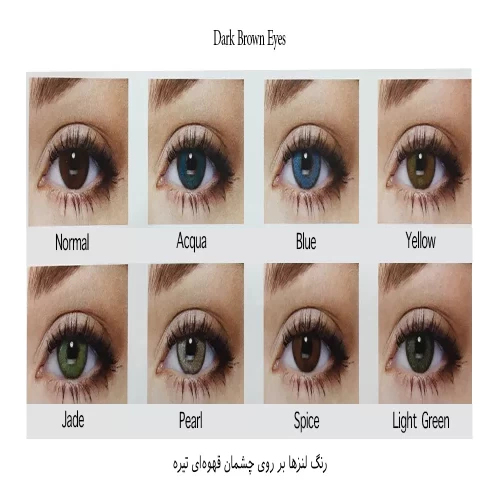 لنز رنگی سالانه سولکو - Image 9