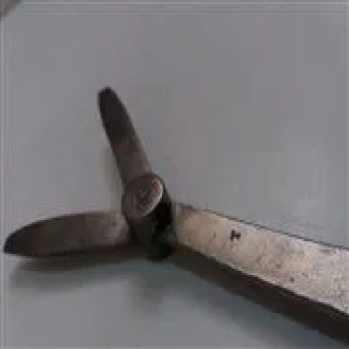 سرپیچگوشتی