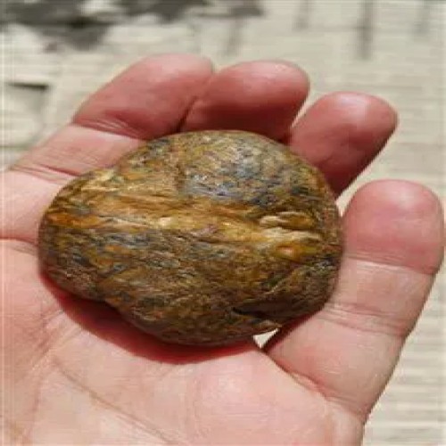 خرید سنگ آهن دار مشکوک به شهابسنگ به وزن 80 گرم وردسا