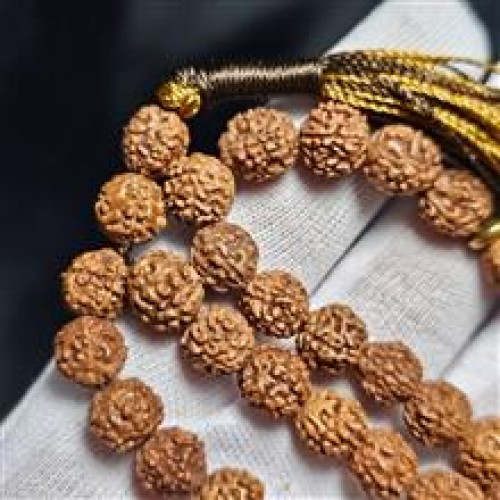 خرید تسبیح 33 دانه رودراکشا کد وردسا