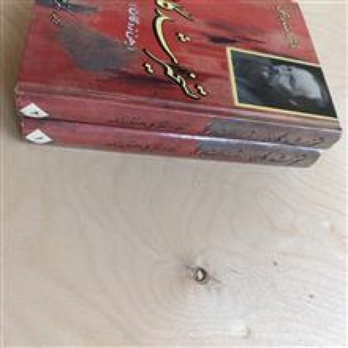 تسخیرشدگان