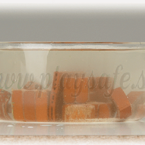 foto10_5.gif
