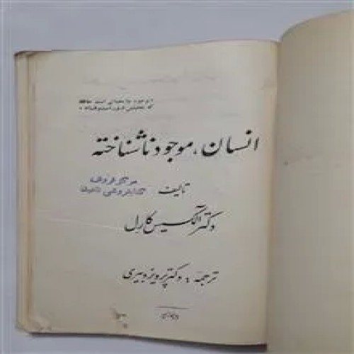 انسان