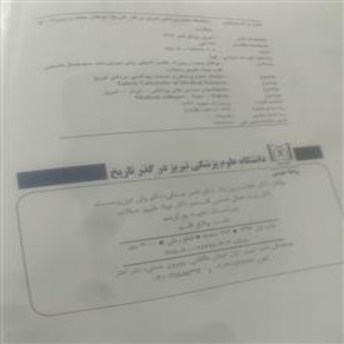 دانشگاه
