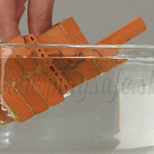 foto9_5.gif