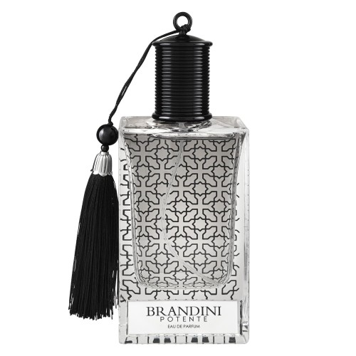 عطر ادکلن پوتنته مردانه Potente