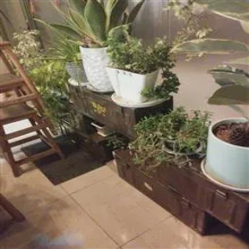 جعبه