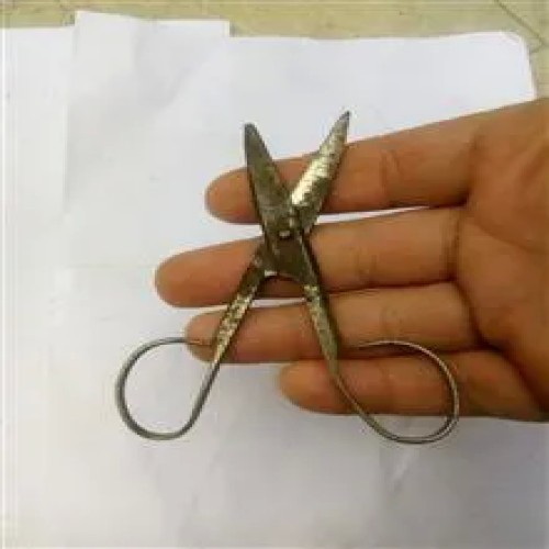 قیچی