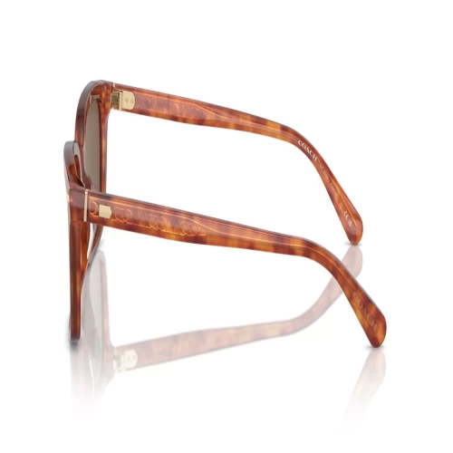 عینک آفتابی کوچ Coach HC8398U - Image 3
