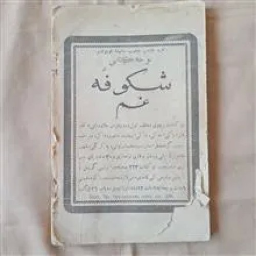 اسلامی،
