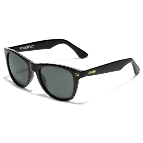 عینک آفتابی دی فرانکلین مدل D.franklin Roosevelt V Shiny Black / G15 - Image 3