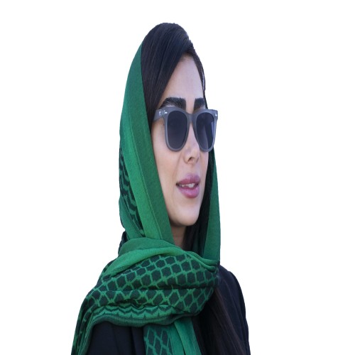 عینک آفتابی گودلوک Goodlook GL310 - Image 4