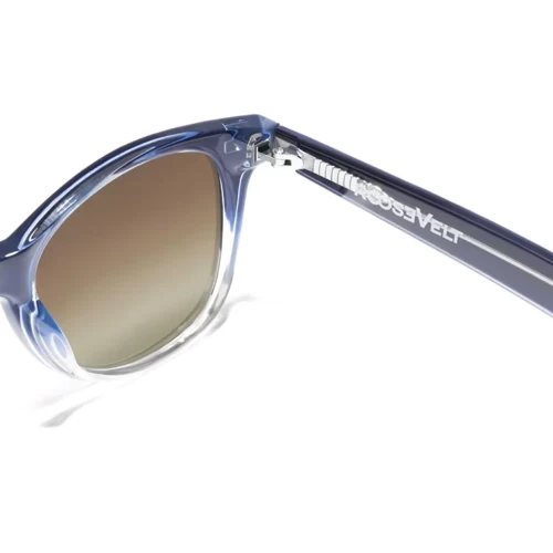 عینک آفتابی دی فرانکلین مدل D.franklin Roosevelt V Shiny Blue / Grad Brown - Image 4