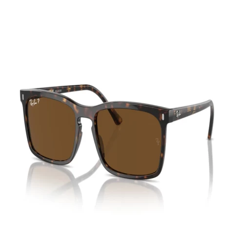 عینک آفتابی ریبن RayBan RB 4435 - Image 6