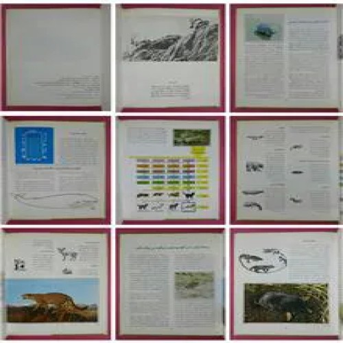 پستانداران