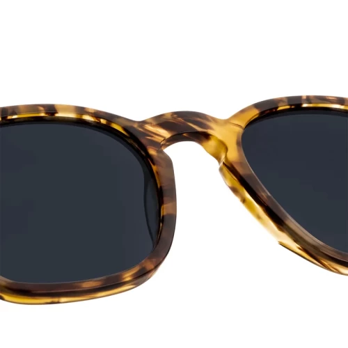 عینک آفتابی دی فرانکلین مدل D.franklin 998 / TRANS CAREY - BLACK - Image 5