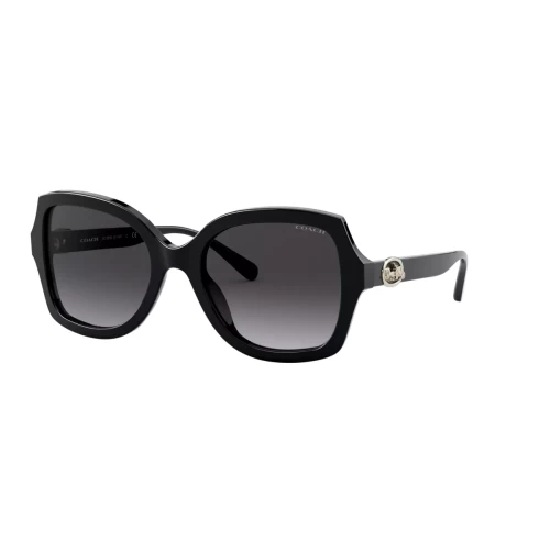 عینک آفتابی کوچ Coach HC8295 - Image 2