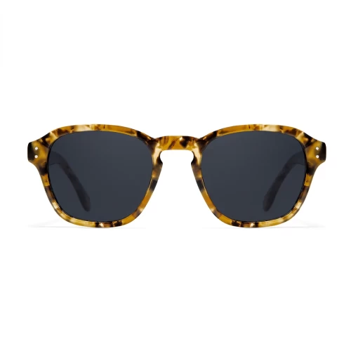عینک آفتابی دی فرانکلین مدل D.franklin 998 / TRANS CAREY - BLACK - Image 3