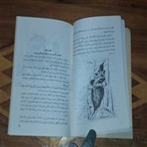 زمستانخوابها