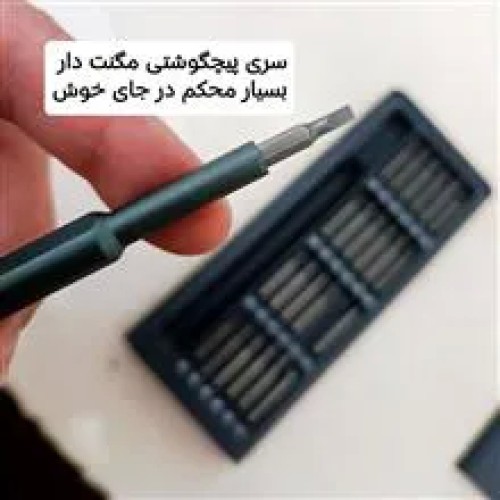 پیچگوشتی