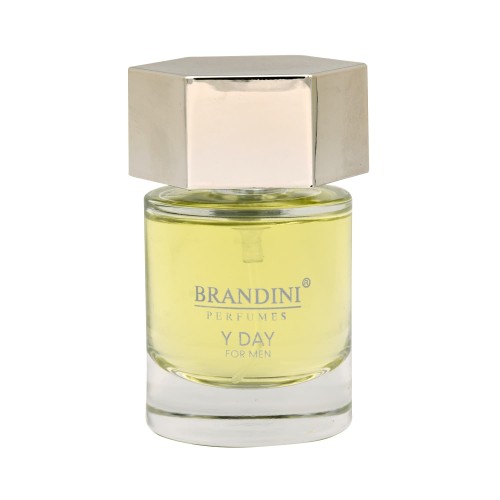 عطر ادکلن وای دی مردانه Y day men